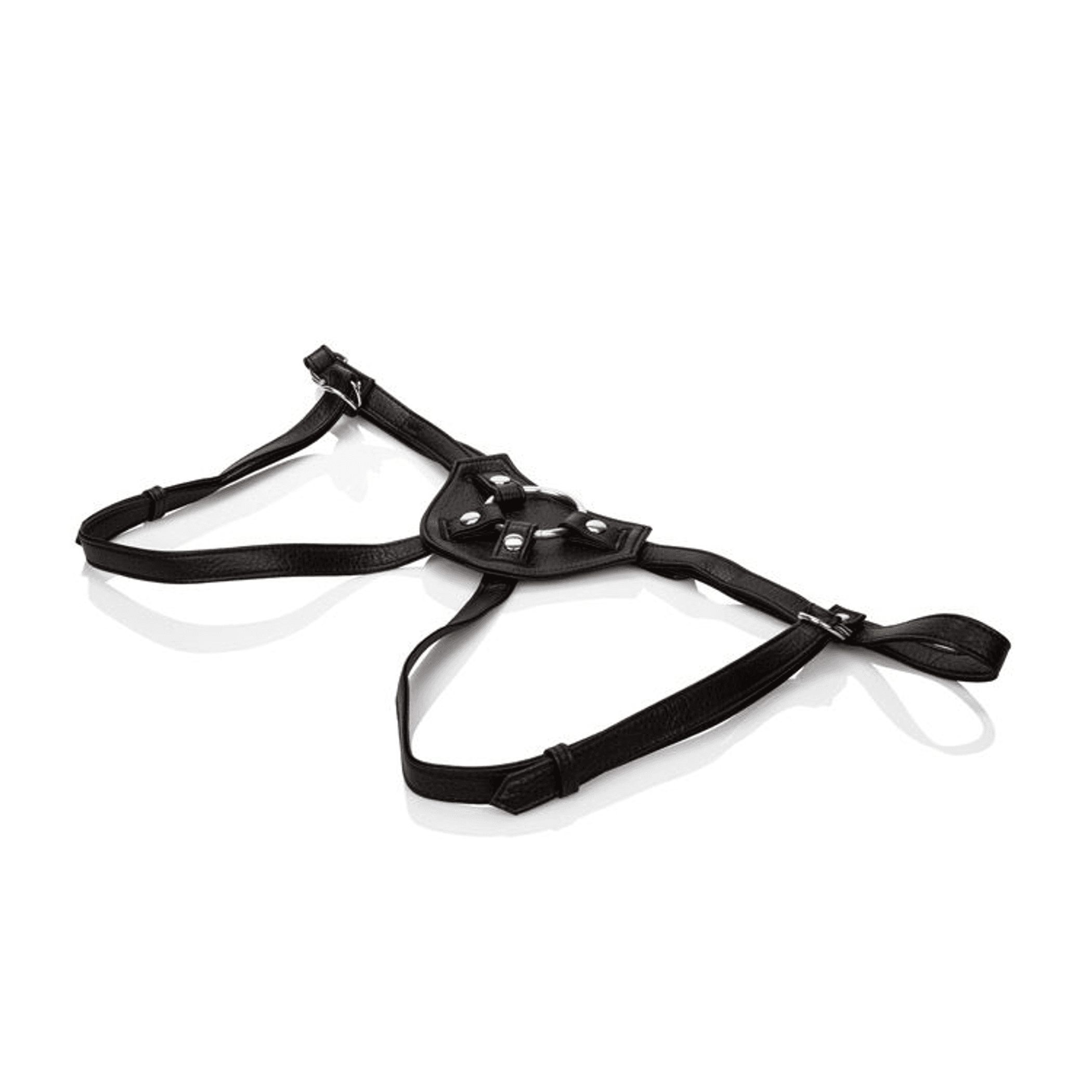 HER ROYAL HARNESS COUNTESS